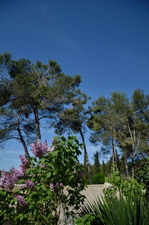 Mas Du Puech Cymbale Villa Assas ภายนอก รูปภาพ
